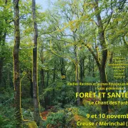 Forêt et Santé