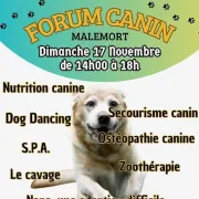 Forum canin