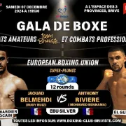 Gala de boxe (Espace des trois provinces)