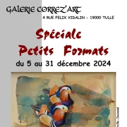 Galerie Correz'Art : Exposition : Spéciale Petits Formats