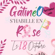 GâtinéO s\'habille en rose