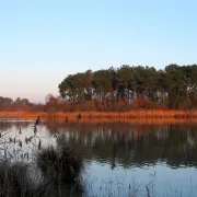 Géologie et histoire des paysages