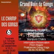 Grand Bain de Gongs à Tergnier