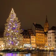 Grand Sapin de Noël à Strasbourg