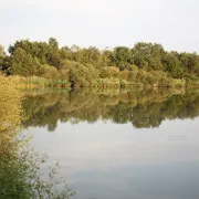 Grande balade autour de l\'étang Massé