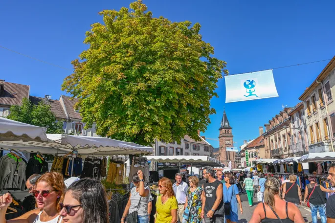 Grande Braderie de Saint-Dié 