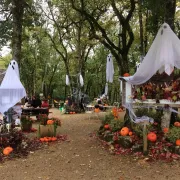 Grande journée d\'Halloween au Parc Animalier