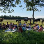 Grande rando avec les ânes