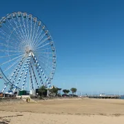 Grande roue