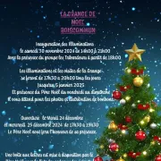 Grange de Noël à Boiscommun : Illuminations et Visites Guidées