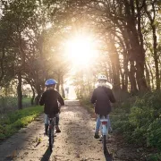 Gravel de la Bicicleta Ravito   grand pignon et champignon 