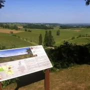 Guided tour | Château Bélingard