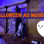 Halloween au musée ! Spectacle nocturne