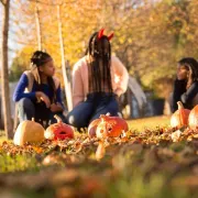 Halloween aux Jardins de Colette