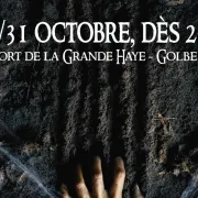 Halloween: Le Fort De La Peur!