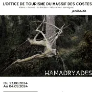 Hamadryades - Exposition Michèle Sainte-Beuve