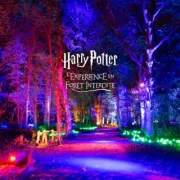 Harry Potter : A Forbidden Forest Experience