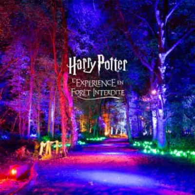 L\'expérience Harry Potter : plongez dans la Magie de la Forêt Interdite