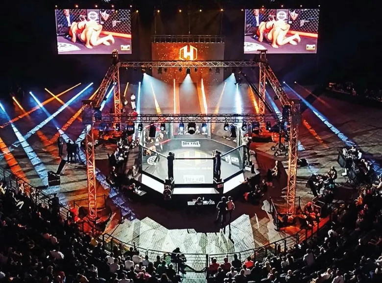 Le MMA professionnel débarque à Colmar en grande pompe !