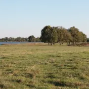 Histoire des paysages et des étangs de la Brenne