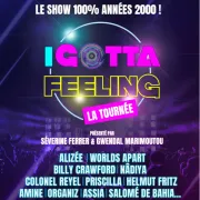 I Gotta Feeling - La Tournée