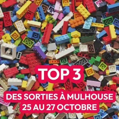 Les idées sorties du week-end à Mulhouse et environs 🎉