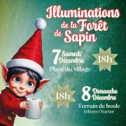 Illuminations de Noël à Auriol