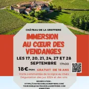 Immersion au cœur des vendanges