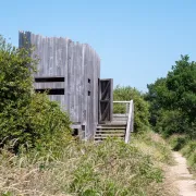 Initiation à l'ornithologie