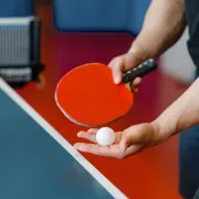 Initiation au Ping-Pong