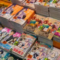  Les mangas toujours à l'honneur de la Japan Touch Lyon DR