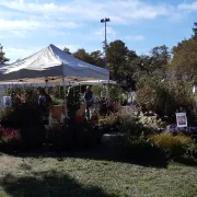 Jardins Et Saveurs D Automne