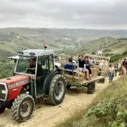 Jep 2024 - Promenade Patrimoniale Autour De Laurac