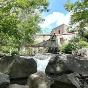 Jep 2024 - Visite Du Moulin à Papier