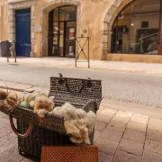 Jep 2024 - Visite Guidée Carcassonne Au Xviii° Siècle