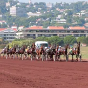 JEP Hippodrome de Borély