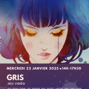 Jeu Vidéo : Gris