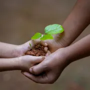 Journée d'échange