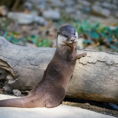 Journée découverte au Zoo de Mulhouse