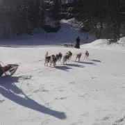 Journée des enfants trappeurs