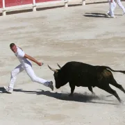 Journée Du Club Taurin Etienne -Boisset