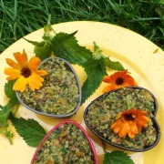 Journée plantes sauvages comestibles avec Caroline Calendula à Thémines