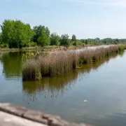 Journées du Patrimoine à Saint-Martin-Longueau