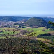 Journées Du Patrimoine - Balade Sur Les Arbres Remarquables Dans Le Massif De L\'Avison