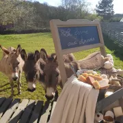 Journées du Patrimoine - La ferme aux ânesses