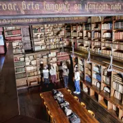 Journées du Patrimoine - Visites d\'Abbadia, le Château-Observatoire