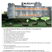 Journées Européennes du Patrimoine au Château de Mursay à Echiré