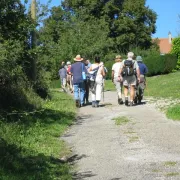 Journées Européennes du Patrimoine : balade botanique