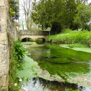 Journées Européennes du Patrimoine : parcours commenté du village