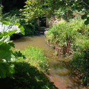 Journées Européennes du Patrimoine  : Rencontre « Le Val de Flore : un jardin-fôret »